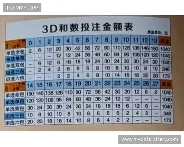 幸运11选5最新视频解析技巧助你轻松提高中奖概率和投注技巧分享