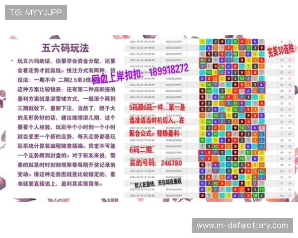 掌握幸运十一选五方法提升选号思路轻松打造高效娱乐新体验攻略技巧