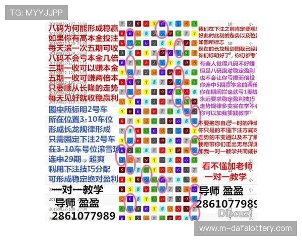 极速飞艇查询最新稳定计划技巧与全天精准走势数据分析参考指南 极速飞艇查询最新稳定计划技巧与全天精准走势数据分析参考指南