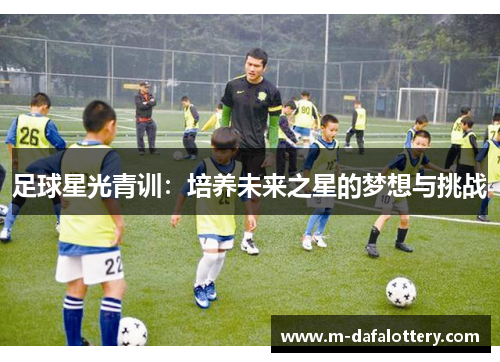 足球星光青训：培养未来之星的梦想与挑战