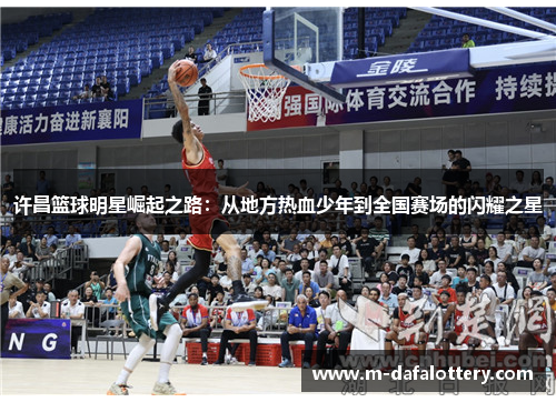 许昌篮球明星崛起之路：从地方热血少年到全国赛场的闪耀之星