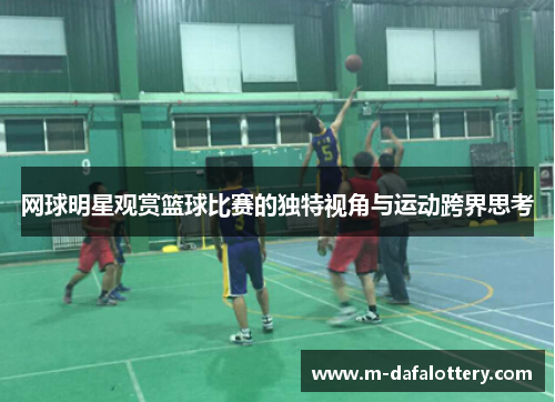 网球明星观赏篮球比赛的独特视角与运动跨界思考